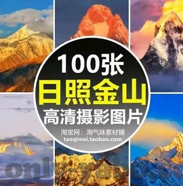 10年南非世界杯巴西-巴西在2010年南非世界杯的辉煌与遗憾
