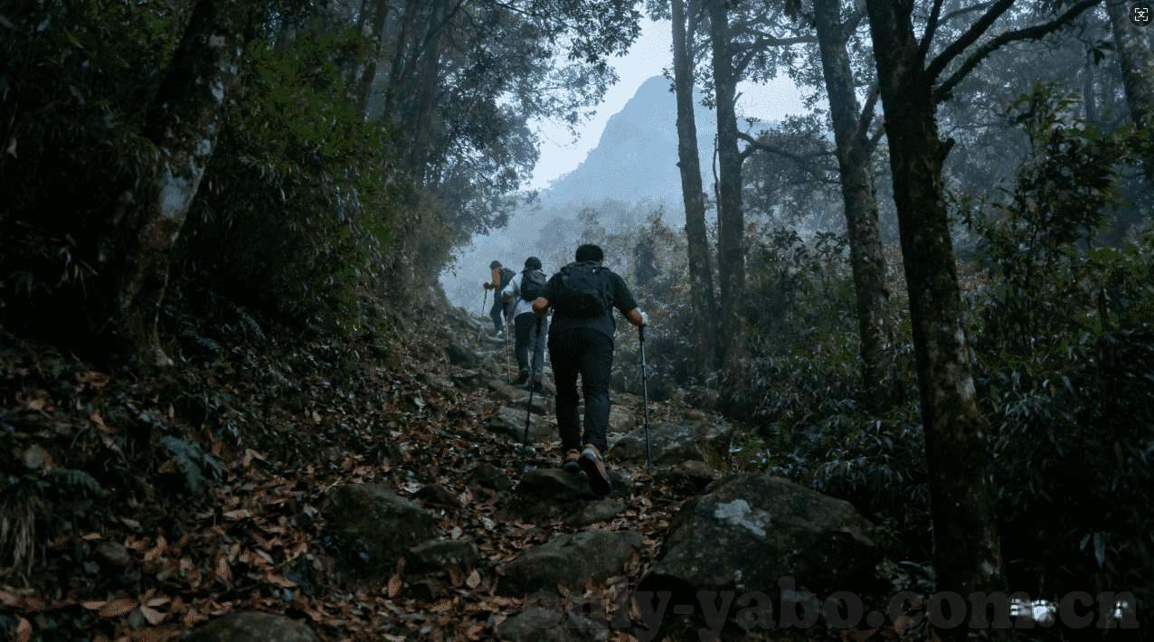世界杯盘口怎样开-世界杯盘口怎样开，策略、风险与机遇