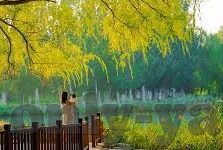 星空综合体育官网下载-星空综合体育，掌握最新体育资讯的优选平台